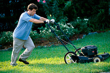 Parker, Denver Lawn Service